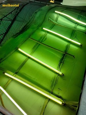 Buen precio Hoja de color de espejo verde Pvd revestimiento decoración placa de acero inoxidable en línea